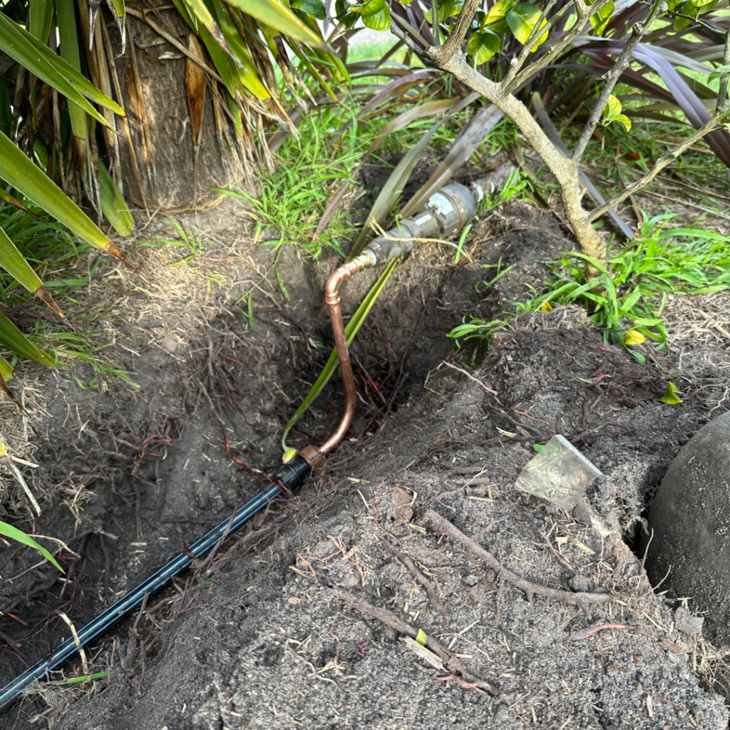 Another service that The Clean Plumber provides to Sydney locals is drain excavation