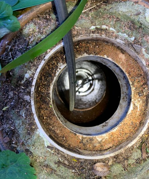 Clearing out blocked drains in Sydney is one of our specialty plumbing services.